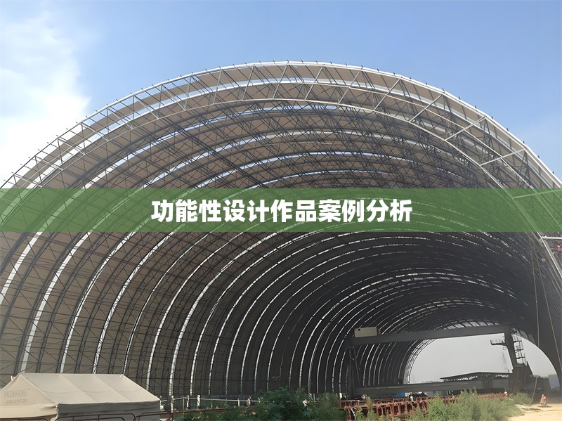 功能性設(shè)計(jì)作品案例分析 行業(yè)新聞 第1張