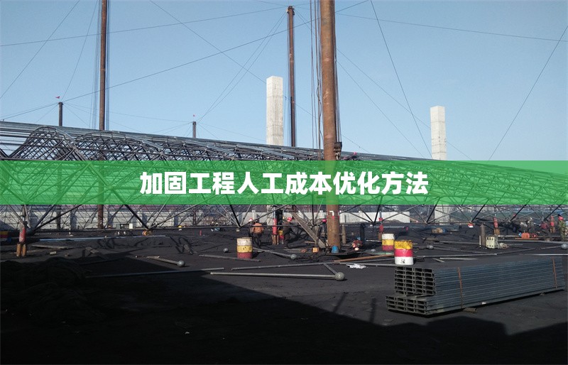加固工程人工成本優(yōu)化方法 行業(yè)新聞 第1張 加固工程人工成本優(yōu)化方法 行業(yè)新聞 第1張