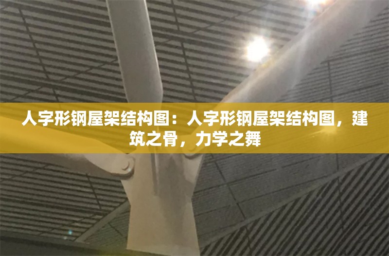 人字形鋼屋架結構圖：人字形鋼屋架結構圖，建筑之骨，力學之舞 行業(yè)新聞