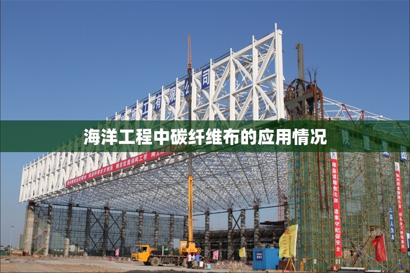 海洋工程中碳纖維布的應(yīng)用情況 行業(yè)新聞 第1張 海洋工程中碳纖維布的應(yīng)用情況 行業(yè)新聞 第1張