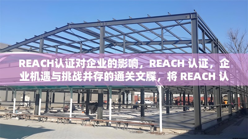REACH認(rèn)證對(duì)企業(yè)的影響，REACH 認(rèn)證，企業(yè)機(jī)遇與挑戰(zhàn)并存的通關(guān)文牒，將 REACH 認(rèn)證比喻成通關(guān)文牒，形象地體現(xiàn)出它對(duì)企業(yè)的重要性， 行業(yè)新聞 第7張