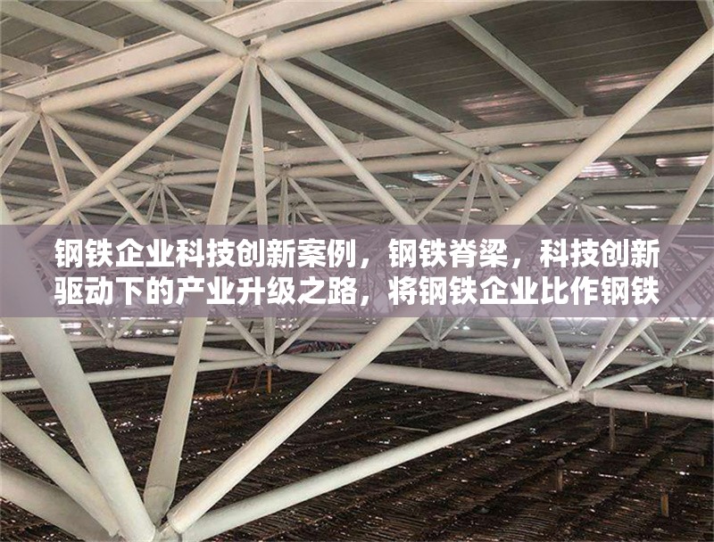 鋼鐵企業(yè)科技創(chuàng)新案例，鋼鐵脊梁，科技創(chuàng)新驅(qū)動(dòng)下的產(chǎn)業(yè)升級(jí)之路，將鋼鐵企業(yè)比作鋼鐵脊梁，突出其在工業(yè)中的重要地位?？萍紕?chuàng)新驅(qū)動(dòng)直接點(diǎn)明核心主題，產(chǎn)業(yè)升級(jí)之路則體現(xiàn)了通過(guò)科技創(chuàng)新帶來(lái)的積極變化和發(fā)展方向， 行業(yè)新聞 第6張