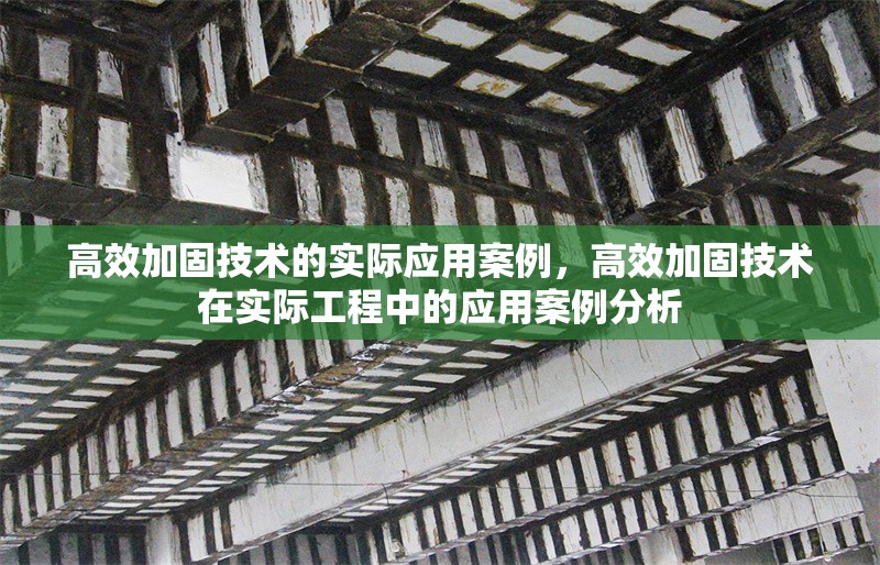 高效加固技術(shù)的實(shí)際應(yīng)用案例，高效加固技術(shù)在實(shí)際工程中的應(yīng)用案例分析