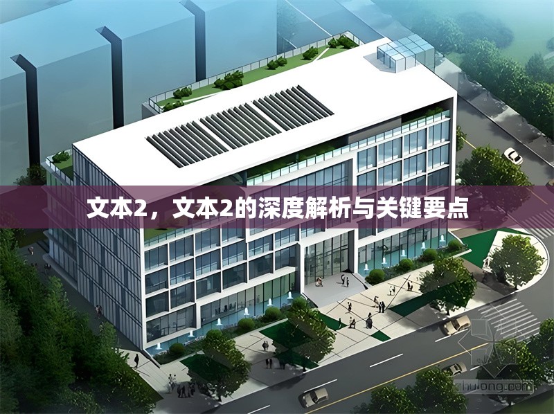 文本2，文本2的深度解析與關(guān)鍵要點(diǎn) 行業(yè)新聞