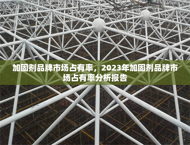 加固劑品牌市場占有率，2023年加固劑品牌市場占有率分析報告 行業(yè)新聞 第1張