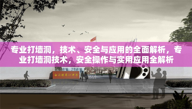 專業(yè)打墻洞，技術(shù)、安全與應用的全面解析，專業(yè)打墻洞技術(shù)，安全操作與實用應用全解析