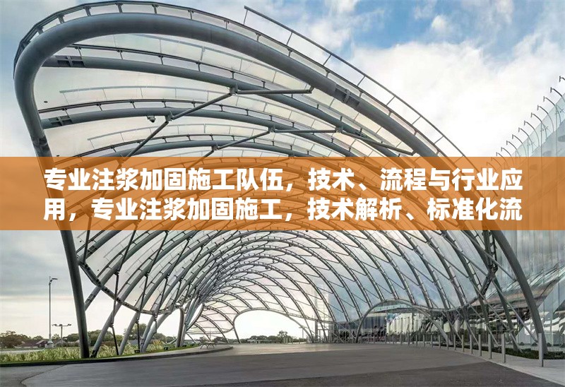 專業(yè)注漿加固施工隊(duì)伍，技術(shù)、流程與行業(yè)應(yīng)用，專業(yè)注漿加固施工，技術(shù)解析、標(biāo)準(zhǔn)化流程與多領(lǐng)域應(yīng)用實(shí)踐