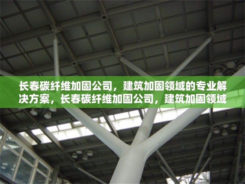 長(zhǎng)春碳纖維加固公司，建筑加固領(lǐng)域的專業(yè)解決方案，長(zhǎng)春碳纖維加固公司，建筑加固領(lǐng)域的專業(yè)解決方案專家