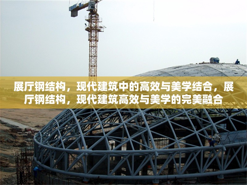 展廳鋼結(jié)構(gòu)，現(xiàn)代建筑中的高效與美學(xué)結(jié)合，展廳鋼結(jié)構(gòu)，現(xiàn)代建筑高效與美學(xué)的完美融合