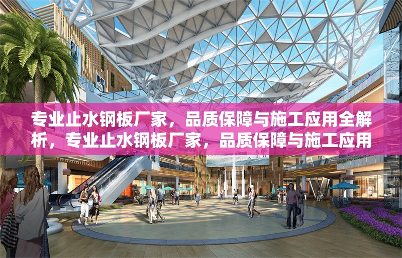 專業(yè)止水鋼板廠家，品質(zhì)保障與施工應(yīng)用全解析，專業(yè)止水鋼板廠家，品質(zhì)保障與施工應(yīng)用全解析