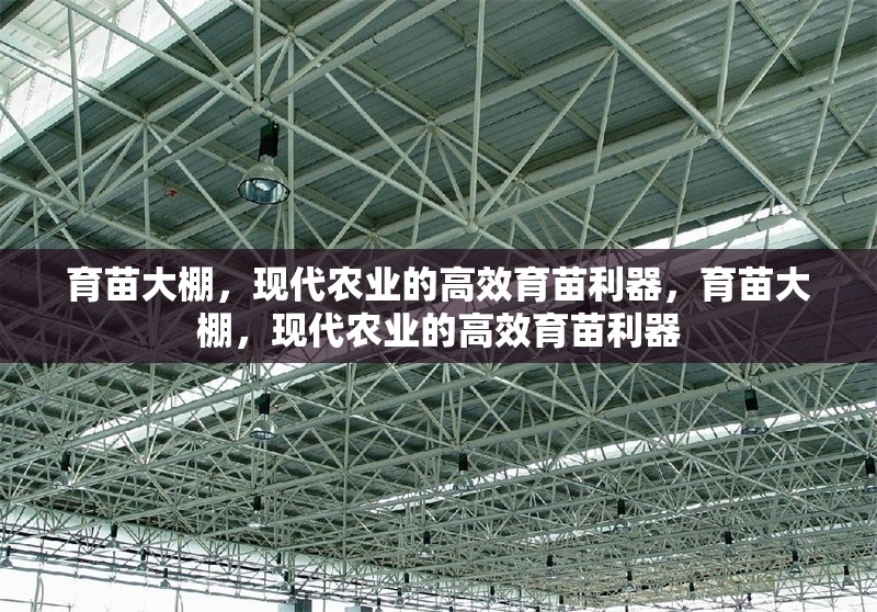育苗大棚，現(xiàn)代農(nóng)業(yè)的高效育苗利器，育苗大棚，現(xiàn)代農(nóng)業(yè)的高效育苗利器