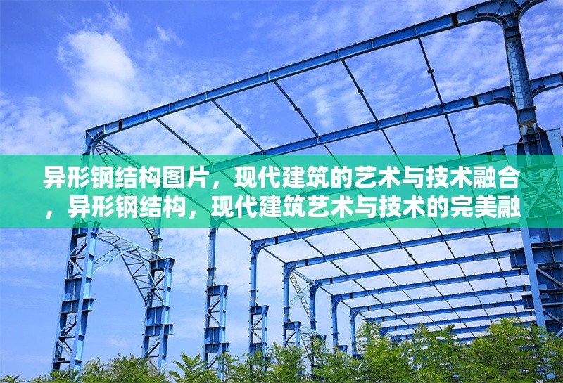 異形鋼結(jié)構(gòu)圖片，現(xiàn)代建筑的藝術(shù)與技術(shù)融合，異形鋼結(jié)構(gòu)，現(xiàn)代建筑藝術(shù)與技術(shù)的完美融合