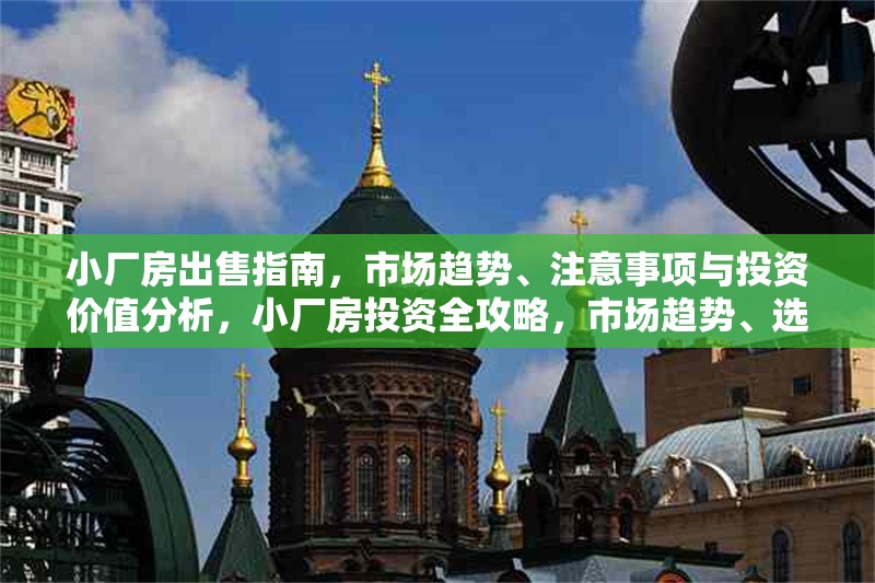 小廠房出售指南，市場趨勢、注意事項與投資價值分析，小廠房投資全攻略，市場趨勢、選購要點與價值評估 行業(yè)新聞
