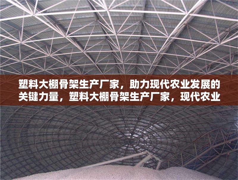 塑料大棚骨架生產(chǎn)廠家，助力現(xiàn)代農(nóng)業(yè)發(fā)展的關(guān)鍵力量，塑料大棚骨架生產(chǎn)廠家，現(xiàn)代農(nóng)業(yè)發(fā)展的核心支撐