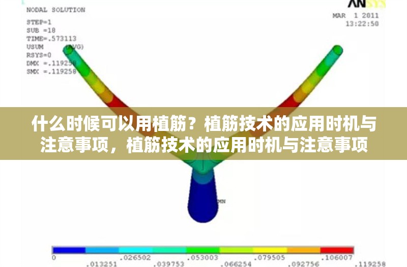 什么時(shí)候可以用植筋？植筋技術(shù)的應(yīng)用時(shí)機(jī)與注意事項(xiàng)，植筋技術(shù)的應(yīng)用時(shí)機(jī)與注意事項(xiàng)