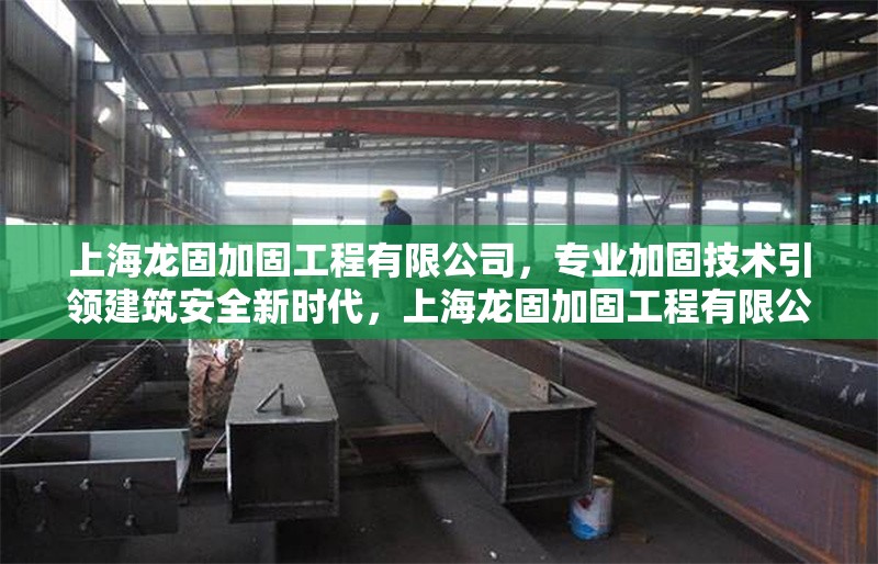上海龍固加固工程有限公司，專業(yè)加固技術(shù)引領(lǐng)建筑安全新時代，上海龍固加固工程有限公司，專業(yè)加固技術(shù)引領(lǐng)建筑安全新時代 行業(yè)新聞