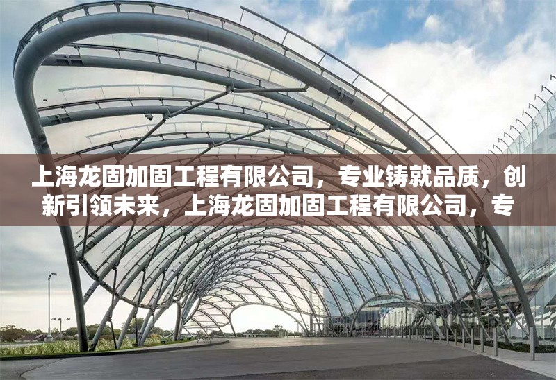 上海龍固加固工程有限公司，專業(yè)鑄就品質(zhì)，創(chuàng)新引領(lǐng)未來，上海龍固加固工程有限公司，專業(yè)鑄就品質(zhì)，創(chuàng)新引領(lǐng)未來