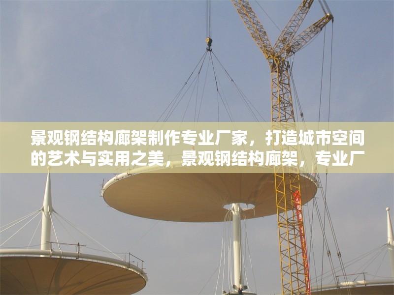 景觀鋼結(jié)構(gòu)廊架制作專業(yè)廠家，打造城市空間的藝術(shù)與實(shí)用之美，景觀鋼結(jié)構(gòu)廊架，專業(yè)廠家鑄就城市藝術(shù)實(shí)用之美