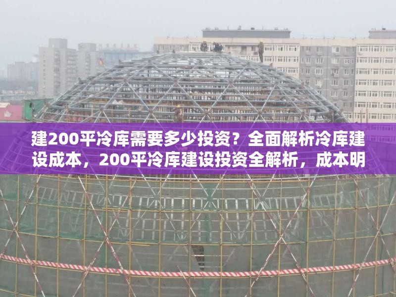 建200平冷庫(kù)需要多少投資？全面解析冷庫(kù)建設(shè)成本，200平冷庫(kù)建設(shè)投資全解析，成本明細(xì)與關(guān)鍵 行業(yè)新聞