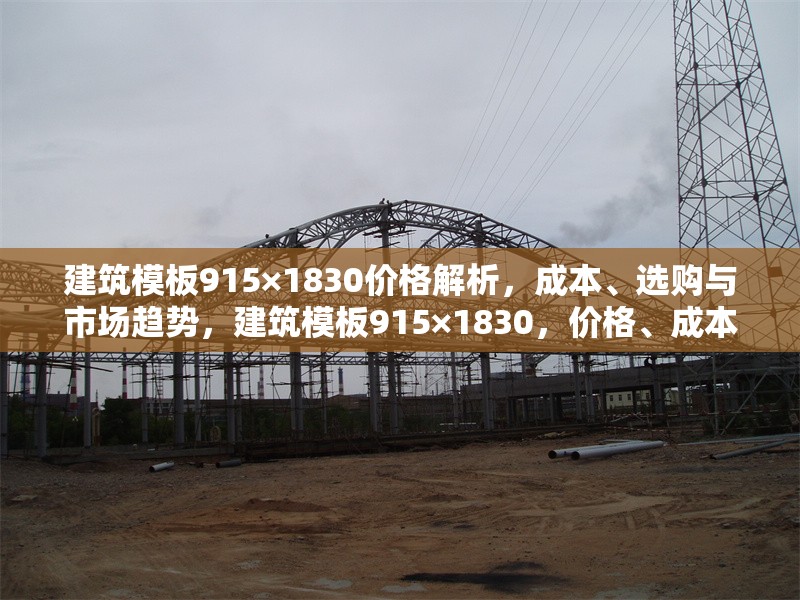 建筑模板915×1830價格解析，成本、選購與市場趨勢，建筑模板915×1830，價格、成本、選購及市場趨勢全