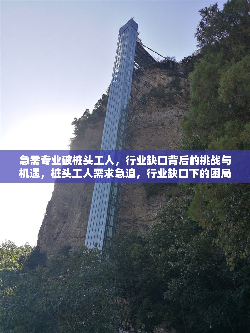急需專業(yè)破樁頭工人，行業(yè)缺口背后的挑戰(zhàn)與機(jī)遇，樁頭工人需求急迫，行業(yè)缺口下的困局與新 行業(yè)新聞