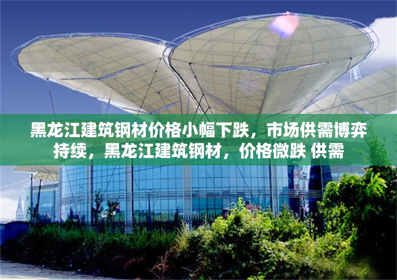 黑龍江建筑鋼材價格小幅下跌，市場供需博弈持續(xù)，黑龍江建筑鋼材，價格微跌 供需 行業(yè)新聞