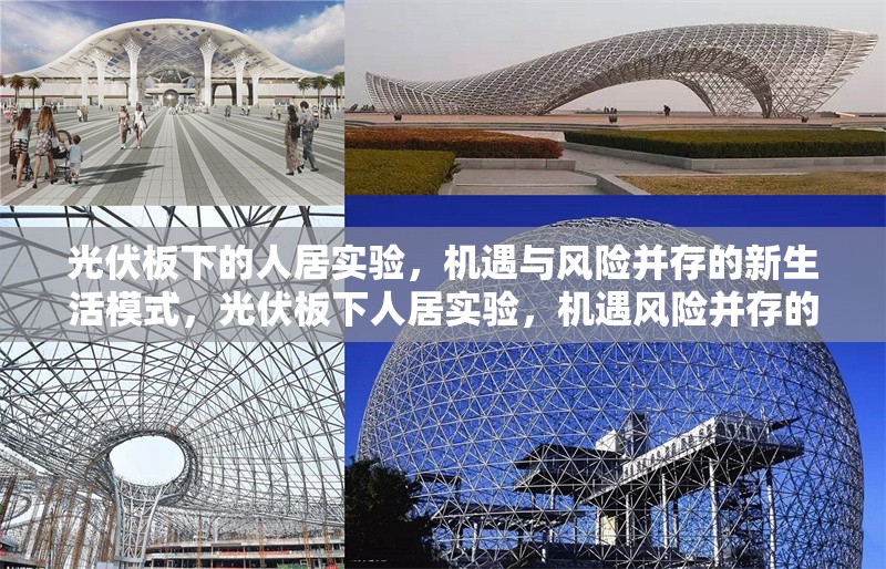 光伏板下的人居實(shí)驗(yàn)，機(jī)遇與風(fēng)險(xiǎn)并存的新生活模式，光伏板下人居實(shí)驗(yàn)，機(jī)遇風(fēng)險(xiǎn)并存的新生活模式探究 行業(yè)新聞