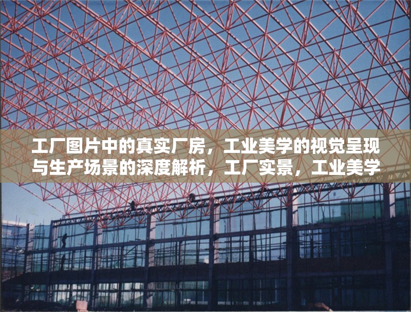 工廠圖片中的真實(shí)廠房，工業(yè)美學(xué)的視覺呈現(xiàn)與生產(chǎn)場景的深度解析，工廠實(shí)景，工業(yè)美學(xué)與生產(chǎn)場景