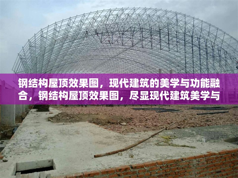 鋼結(jié)構(gòu)屋頂效果圖，現(xiàn)代建筑的美學(xué)與功能融合，鋼結(jié)構(gòu)屋頂效果圖，盡顯現(xiàn)代建筑美學(xué)與