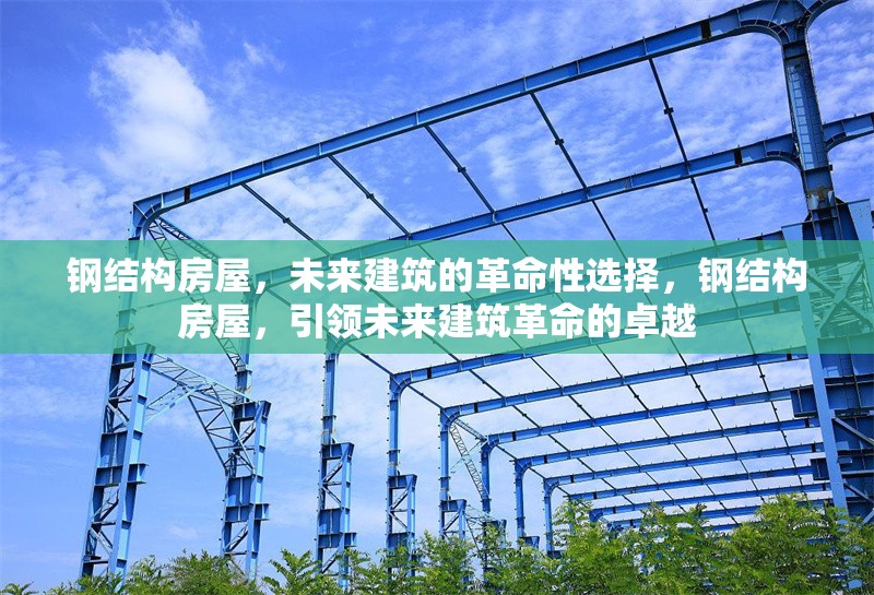 鋼結(jié)構(gòu)房屋，未來建筑的革命性選擇，鋼結(jié)構(gòu)房屋，引領(lǐng)未來建筑革命的卓越