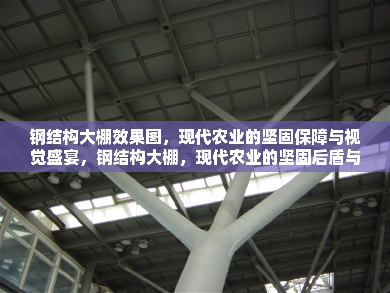 鋼結(jié)構(gòu)大棚效果圖，現(xiàn)代農(nóng)業(yè)的堅(jiān)固保障與視覺盛宴，鋼結(jié)構(gòu)大棚，現(xiàn)代農(nóng)業(yè)的堅(jiān)固后盾與 行業(yè)新聞