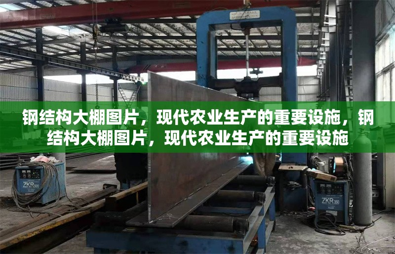 鋼結(jié)構(gòu)大棚圖片，現(xiàn)代農(nóng)業(yè)生產(chǎn)的重要設(shè)施，鋼結(jié)構(gòu)大棚圖片，現(xiàn)代農(nóng)業(yè)生產(chǎn)的重要設(shè)施 行業(yè)新聞