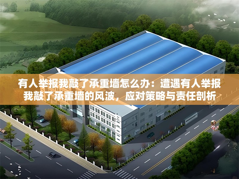 有人舉報我敲了承重墻怎么辦：遭遇有人舉報我敲了承重墻的風(fēng)波，應(yīng)對策略與責(zé)任剖析 行業(yè)新聞