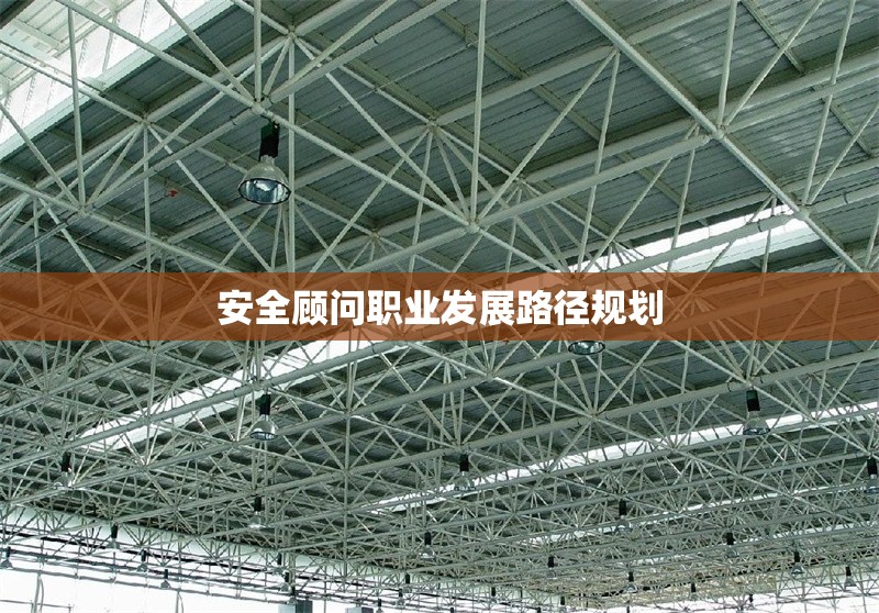 安全顧問(wèn)職業(yè)發(fā)展路徑規(guī)劃 行業(yè)新聞 第1張 安全顧問(wèn)職業(yè)發(fā)展路徑規(guī)劃 行業(yè)新聞 第1張