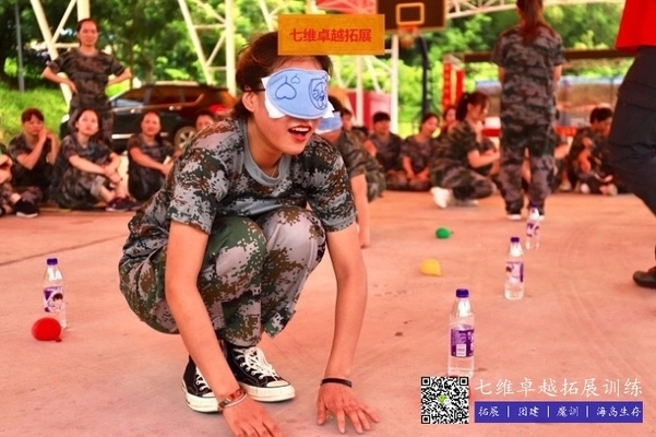 加固項目團隊建設技巧，加固項目團隊建設，實用技巧與策略 行業(yè)新聞 第2張