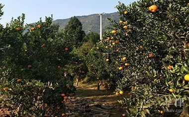 民用建筑與工業(yè)建筑的安全標準對比，民用建筑與工業(yè)建筑安全標準之異 行業(yè)新聞 第3張