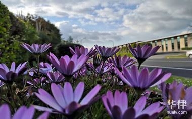 工業(yè)廠房選址要點有哪些？工業(yè)廠房選址關(guān)鍵要點 行業(yè)新聞 第4張