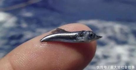 鋼板體積計(jì)算的實(shí)際應(yīng)用案例，鋼板體積計(jì)算，從理論到實(shí)際應(yīng)用案例 行業(yè)新聞 第3張