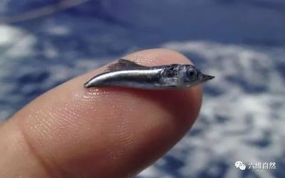 鋼板體積計(jì)算的實(shí)際應(yīng)用案例，鋼板體積計(jì)算，從理論到實(shí)際應(yīng)用案例 行業(yè)新聞 第4張