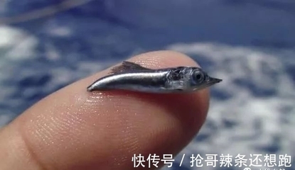 鋼板體積計(jì)算的實(shí)際應(yīng)用案例，鋼板體積計(jì)算，從理論到實(shí)際應(yīng)用案例 行業(yè)新聞 第5張