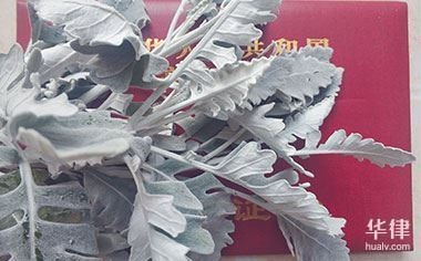 房屋質(zhì)量問題投訴流程，房屋質(zhì)量問題投訴，流程 行業(yè)新聞 第3張