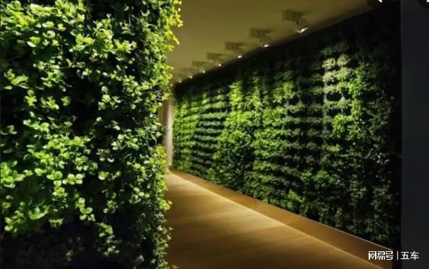 加固后墻體植物影響評(píng)估，加固后墻體植物生長(zhǎng)影響評(píng)估報(bào)告 行業(yè)新聞 第3張