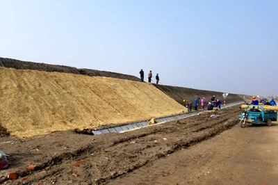 地區(qū)差異對(duì)加固成本的影響分析，地區(qū)差異對(duì)建筑加固成本的影響分析 行業(yè)新聞 第2張