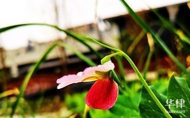 規(guī)劃為商業(yè)用地 行業(yè)新聞 第3張 規(guī)劃為商業(yè)用地 行業(yè)新聞 第3張