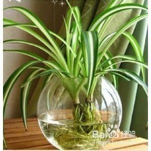 廠房室內(nèi)空氣質(zhì)量改善技巧 行業(yè)新聞 第3張