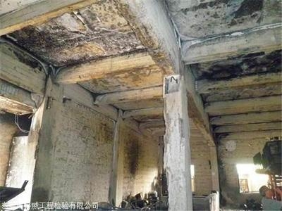 加固公司服務質量評價 行業(yè)新聞 第4張 加固公司服務質量評價 行業(yè)新聞 第4張