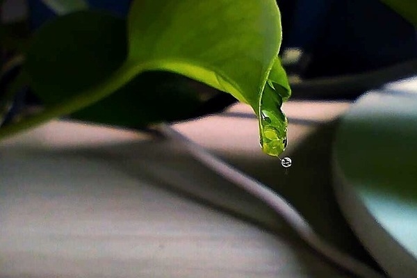 50間客房酒店投資 行業(yè)新聞 第4張 50間客房酒店投資 行業(yè)新聞 第4張