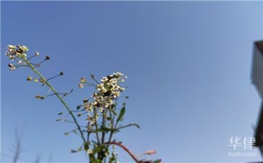 老舊房屋改造補(bǔ)貼申請(qǐng)條件，房屋改造補(bǔ)貼申請(qǐng)指南，條件與流程 行業(yè)新聞 第2張