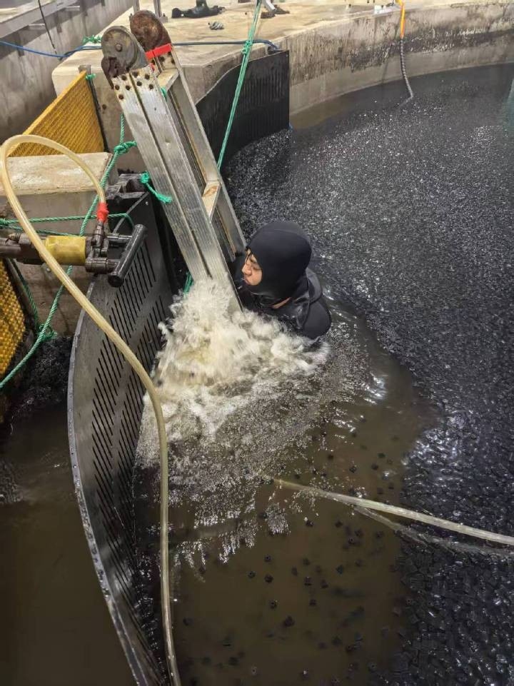 香河加固設(shè)計(jì)公司 行業(yè)新聞